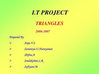 I.T PROJECT