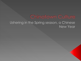 Chinatown Culture