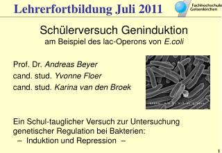 Lehrerfortbildung Juli 2011