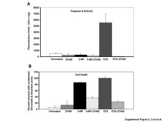 Caspase-3 Activity