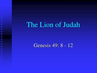 The Lion of Judah