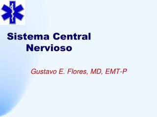 Sistema Central Nervioso