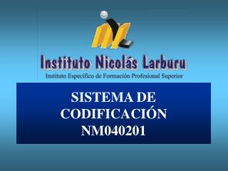SISTEMA DE CODIFICACIÓN NM040201