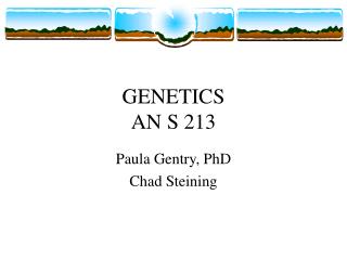 GENETICS AN S 213