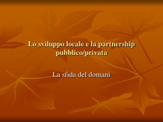 Lo sviluppo locale e la partnership pubblico/privata