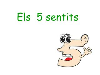 Els 5 sentits