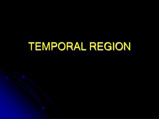 TEMPORAL REGION