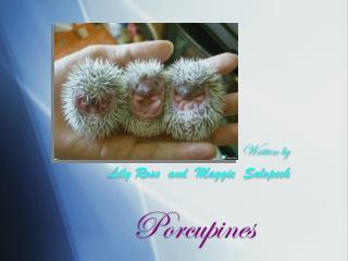 Porcupines