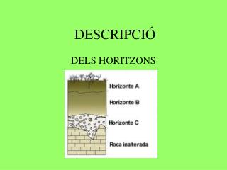 DESCRIPCIÓ