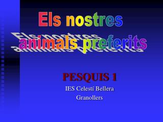 PESQUIS 1 IES Celestí Bellera Granollers