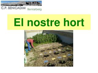 El nostre hort