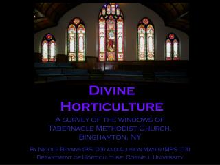Divine Horticulture