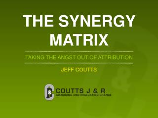 THE SYNERGY MATRIX