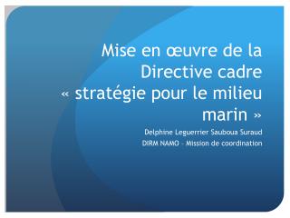 Mise en œuvre de la Directive cadre « stratégie pour le milieu marin »