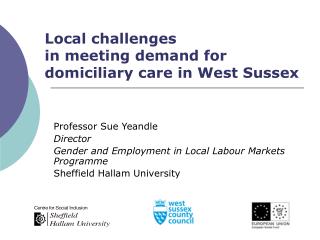 Local challenges in meeting demand for domiciliary care in West Sussex