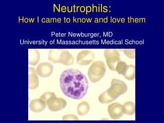 Peter Newburger, MD University of Massachusetts Medical School