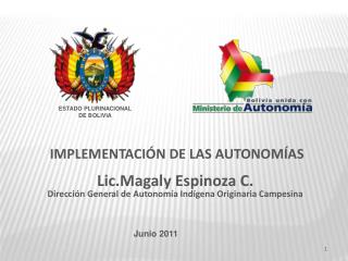 IMPLEMENTACIÓN DE LAS AUTONOMÍAS Lic.Magaly Espinoza C.