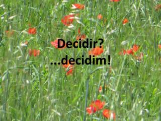 Decidir? ...decidim!