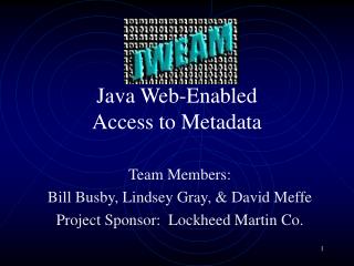 Java Web-Enabled Access to Metadata