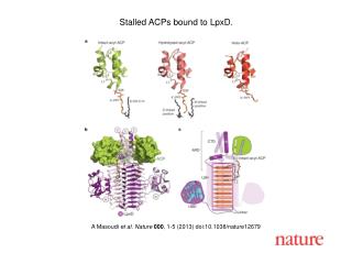 A Masoudi et al. Nature 000 , 1-5 (2013) doi:10.1038/nature12679