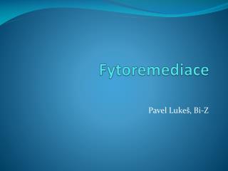 Fytoremediace