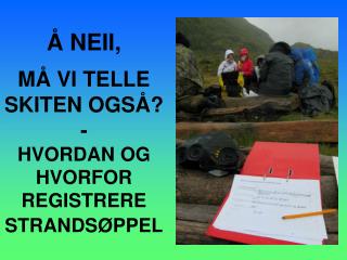 Å NEII, MÅ VI TELLE SKITEN OGSÅ? - HVORDAN OG HVORFOR REGISTRERE STRANDSØPPEL