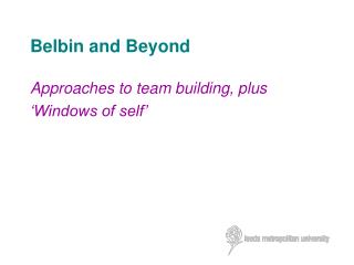 Belbin and Beyond
