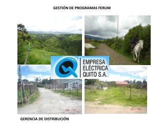 GESTIÓN DE PROGRAMAS FERUM