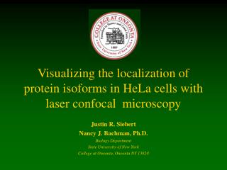 Visualizing the localization of protein isoforms in HeLa cells with laser confocal microscopy