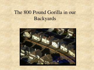 The 800 Pound Gorilla in our Backyards