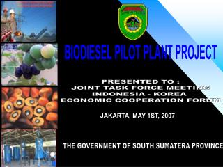 BIODIESEL PILOT PLANT PROJECT