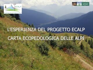 L’ESPERIENZA DEL PROGETTO ECALP CARTA ECOPEDOLOGICA DELLE ALPI