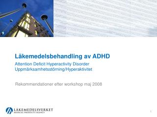 Rekommendationer efter workshop maj 2008