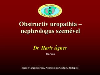 Obstructiv uropathia – nephrologus szemével