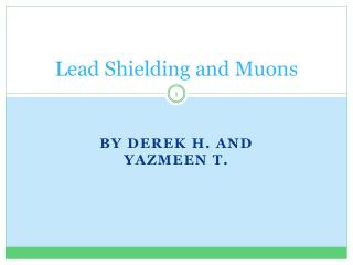 Lead Shielding and Muon s