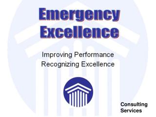 Consulting Services