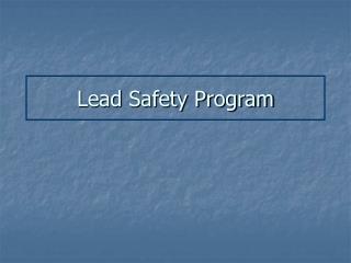 Lead Safety Program