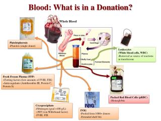 Plateletpheresis - Platelets (single donor)