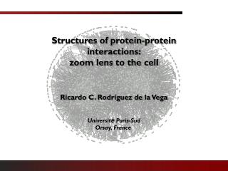 Structures of protein-protein interactions: zoom lens to the cell