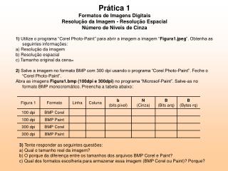 Prática 1 Formatos de Imagens Digitais Resolução da Imagem - Resolução Espacial