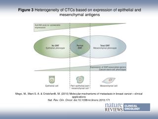 Figure 3 Heterogeneity of CTCs based on expression of epithelial and mesenchymal antigens