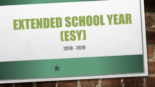 Extended School Year (ESY)