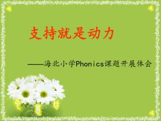 支持就是动力 —— 海北小学 Phonics 课题开展体会