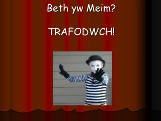 Beth yw Meim? TRAFODWCH!