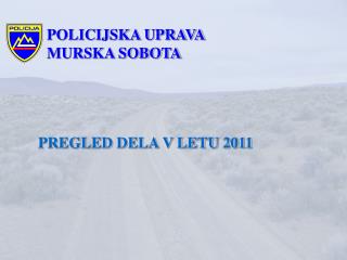 PREGLED DELA V LETU 2011