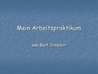 Mein Arbeitspraktikum