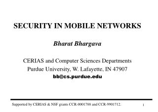 SECURITY IN MOBILE NETWORKS