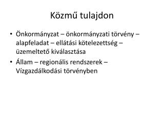 Közmű tulajdon