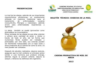CADENA PRODUCTIVA DE MIEL DE ABEJA 2013