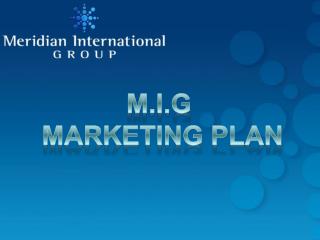 M.I.G MARKETING PLAN